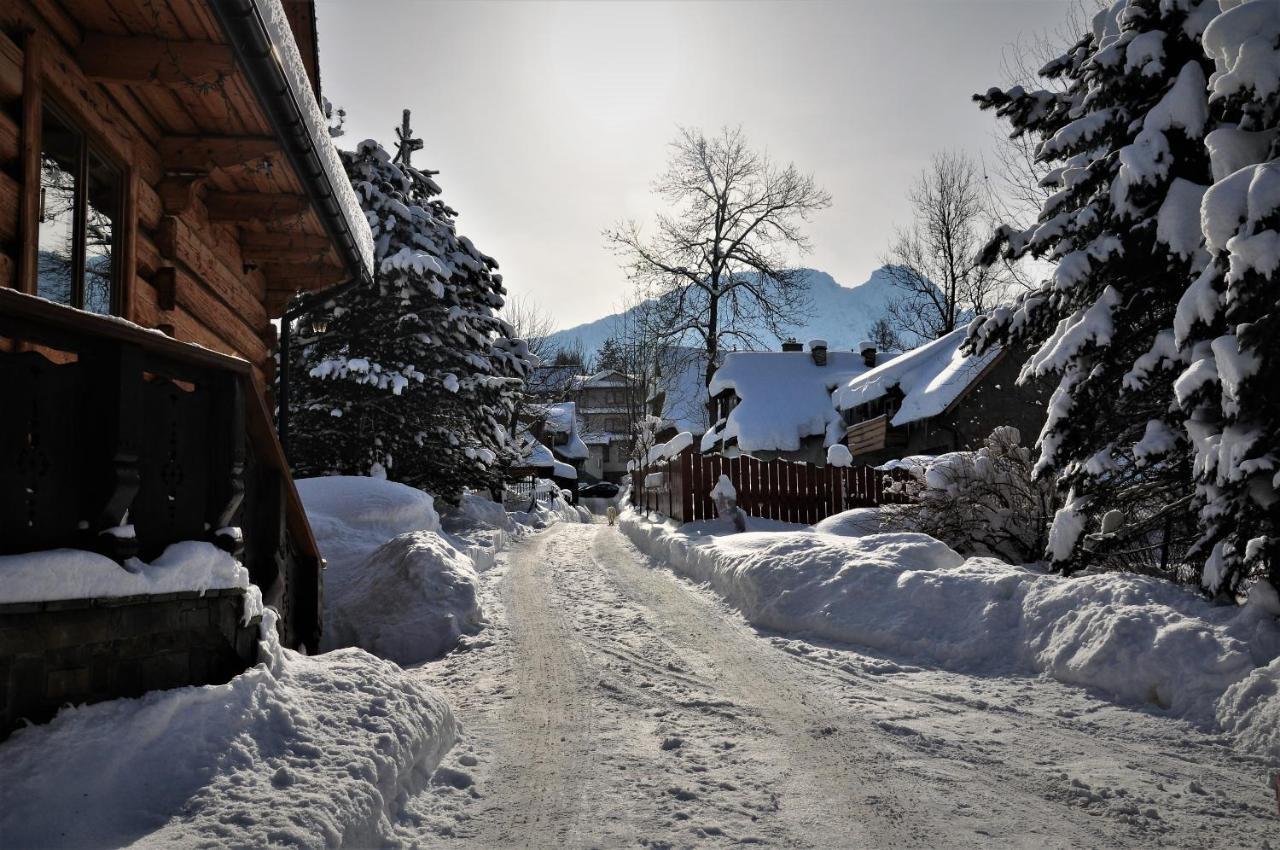 Domek Gniewnik Zakopane Exteriér fotografie